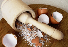 ამის წაკითხვის შემდეგ კვერცხის ნაჭუჭის ღუმელში შესადებად გაიქცევით – საოცარი რეცეპტი