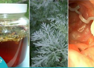 როგორ გავთავისუფლდეთ მუცლის ჭიებისგან – ეს ნატურალური საშუალებები დაგეხმარებათ!