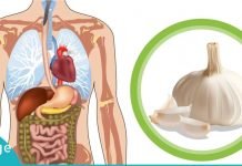 აი ამიტომ უნდა ჭამოთ ნიორი უზმოზე! სასარგებლოა…