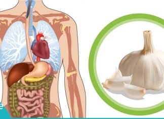 აი ამიტომ უნდა ჭამოთ ნიორი უზმოზე! სასარგებლოა…