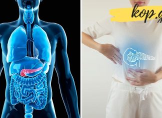 პანკრეასის მკურნალობის 3 ყველაზე მარტივი და ეფექტური რეცეპტი