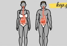 8 საკვები, რომლითაც სამუდამოდ დაივიწყებთ კუჭის პრობლემებს!