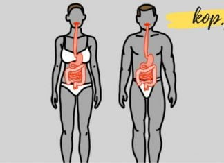 8 საკვები, რომლითაც სამუდამოდ დაივიწყებთ კუჭის პრობლემებს!