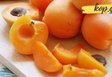 გარგარი – საუკეთესო საშუალება, რომელიც უძილობის წინააღმდეგ ეფექტურად მოქმედებს