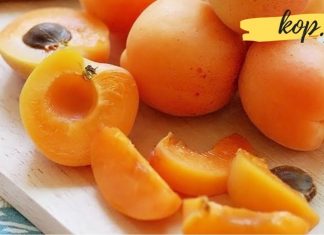 გარგარი – საუკეთესო საშუალება, რომელიც უძილობის წინააღმდეგ ეფექტურად მოქმედებს