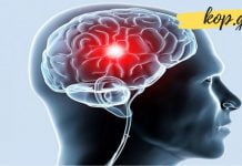 უნიკალური მეთოდი, რომელიც თავის ტვინის სისხლძარღვებს წმენდს. ეფექტური რეცეპტია