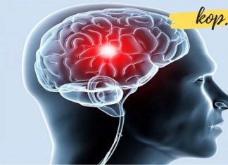 უნიკალური მეთოდი, რომელიც თავის ტვინის სისხლძარღვებს წმენდს. ეფექტური რეცეპტია