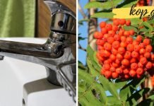 როგორ შეგვიძლია გავწმინდოთ სასმელი წყალი სახლის პირობებში?