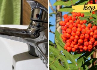 როგორ შეგვიძლია გავწმინდოთ სასმელი წყალი სახლის პირობებში?