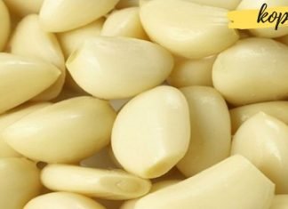 აი, რა მოხდება თუ უზმოზე ნიორს მიირთმევთ. მისი თვისებების შესახებ ყველამ უნდა იცოდეს