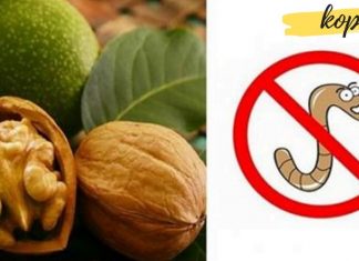 პროდუქტები, რომლებიც ორგანიზმს პარაზიტებისგან იცავენ. ეს ყველას სჭირდება