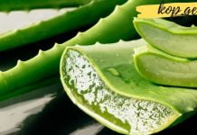 ალოე ვერა-მკურნალი თქვენს სახლში: 18 მიზეზი დაგარწმუნებთ, რომ ის შეუცვლელია!