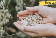 4 მიზეზი იმისა თუ რატომ უნდა მიიღოთ შვრიის ქატო ყოველდღე!