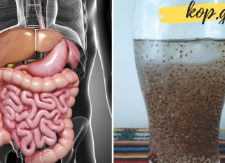 აი, როგორ უნდა გამოდევნოთ თქვენი ორგანიზმიდან 8 კგ ტოქსინები!