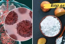 ყურადღება! რამდენად უწყობს ხელს კარტოფილის ჭამა კიბოს წარმოქმნას