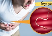 თუ ორგანიზმში ჭიები გყავთ, აი ამ საშუალებებით შეძლებთ გამოდევნოთ