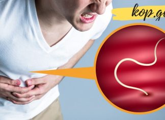 თუ ორგანიზმში ჭიები გყავთ, აი ამ საშუალებებით შეძლებთ გამოდევნოთ