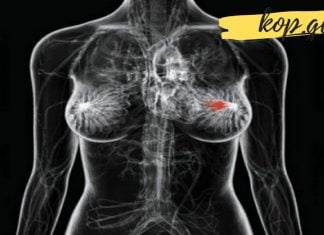 მკერდის კიბოს გამომწვევი ორი ყველაზე შემაშფოთებელი მიზეზი… თქვენ ეს უნდა იცოდეთ!