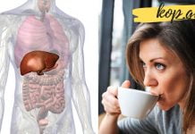 აი რა დაემართება თქვენს ღვიძლს, თუ დღეში 2 ფინჯან ყავას დალევთ