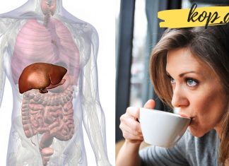 აი რა დაემართება თქვენს ღვიძლს, თუ დღეში 2 ფინჯან ყავას დალევთ