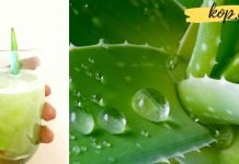 ალოეს წვენი დაგვეხმარება სხვადასხვა დაავადებების სამკურნალოდ