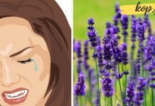 თავის ტკივილის და დაღლილობის საწინააღმდეგო საუკეთესო საშუალება. ეფექტური და გემრიელია