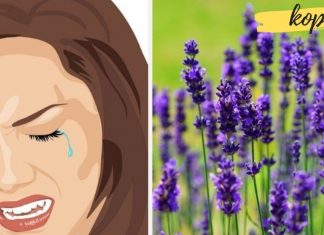 თავის ტკივილის და დაღლილობის საწინააღმდეგო საუკეთესო საშუალება. ეფექტური და გემრიელია