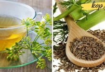 4 მიზეზი იმისა თუ რატომაა კამის ჩაი სასარგებლო ჩვენი ჯანმრთელობისთვის