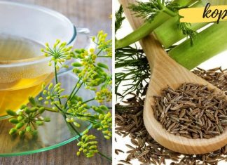 4 მიზეზი იმისა თუ რატომაა კამის ჩაი სასარგებლო ჩვენი ჯანმრთელობისთვის