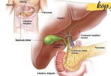 ღვიძლის გაწმენდა მარვა ოჰანიანის მეთოდის მიხედვით