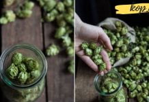 ეს მარტივი საშუალება აახალგაზრდავებს და მკურნალობს ვარიკოზულ ვენებს