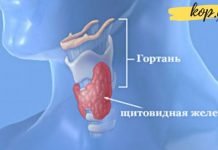 რა ვიტამინები და მინერალები სჭირდება ფარისებრ ჯირკვალს? ეს უნდა იცოდეთ