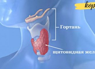 რა ვიტამინები და მინერალები სჭირდება ფარისებრ ჯირკვალს? ეს უნდა იცოდეთ