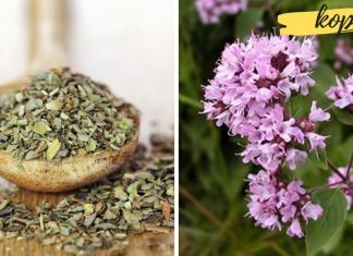 ეს მცენარე მოგირჩენთ ეგზემასა და კანის ჩირქოვან დაავადებებს. საინტერესოა