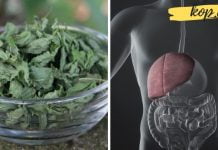 აი ამ ბალახებით შეგიძლიათ ღვიძლის მკურნალობა. გაითვალისწინეთ რეცეპტები, ისინი სიცოცხლეს გადაარჩენენ