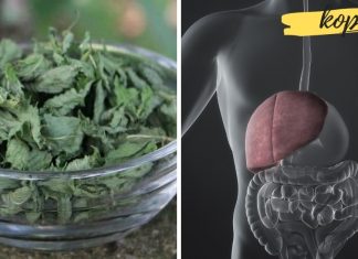 აი ამ ბალახებით შეგიძლიათ ღვიძლის მკურნალობა. გაითვალისწინეთ რეცეპტები, ისინი სიცოცხლეს გადაარჩენენ