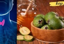 ფეიხოა და თაფლი ფარისებრ ჯირკვალის სამკურნალოდ