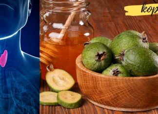 ფეიხოა და თაფლი ფარისებრ ჯირკვალის სამკურნალოდ