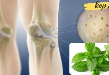 აღადგინეთ მუხლებს შორის გაცვეთილი ხრტილები პიტნის საშუალებით