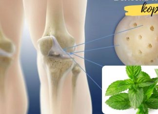 აღადგინეთ მუხლებს შორის გაცვეთილი ხრტილები პიტნის საშუალებით