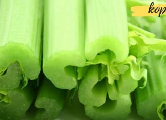 მიზეზები რატომ უნდა მიიღოთ მწვანილი ყოველდღე?! საოცრად სასარგებლო ინფორმაცია