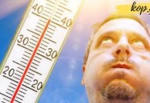 რა უნდა მივიღოთ გულ-სისხლძარღვთა დაავადების დროს ზაფხულში?