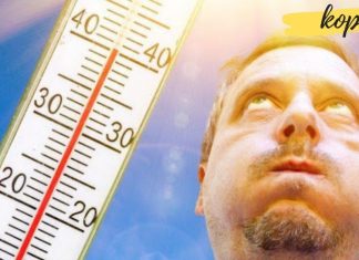 რა უნდა მივიღოთ გულ-სისხლძარღვთა დაავადების დროს ზაფხულში?