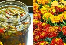 ეს ყველასთვის ცნობილი ზაფრანაა, რომელიც კურნავს უამრავ დაავადებებს