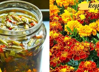 ეს ყველასთვის ცნობილი ზაფრანაა, რომელიც კურნავს უამრავ დაავადებებს