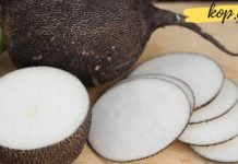 შავი ბოლოკი უნიკალური საშუალებაა დიაბეტის დროს. რამდენიმე რცეპტი ხალხური მედიცინიდან