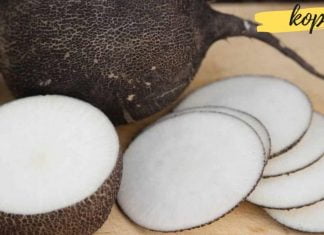 შავი ბოლოკი უნიკალური საშუალებაა დიაბეტის დროს. რამდენიმე რცეპტი ხალხური მედიცინიდან