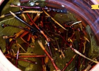 გაწუხებთ შარდის შეუკავებლობის პრობლემა?! მაშინ ეს რეცეპტი თქვენთვის ხსნა იქნება..