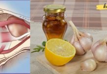 გამოიყენეთ ბუნებრივი ინგრედიენტების სამკურნალო ძალა თქვენი მხედველობის გასაუმჯობესებლად.