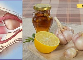 გამოიყენეთ ბუნებრივი ინგრედიენტების სამკურნალო ძალა თქვენი მხედველობის გასაუმჯობესებლად.